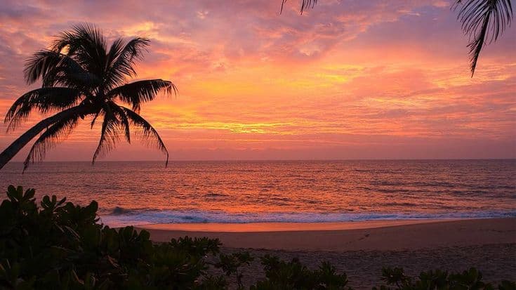 Bentota Beach: The Golden Peninsula