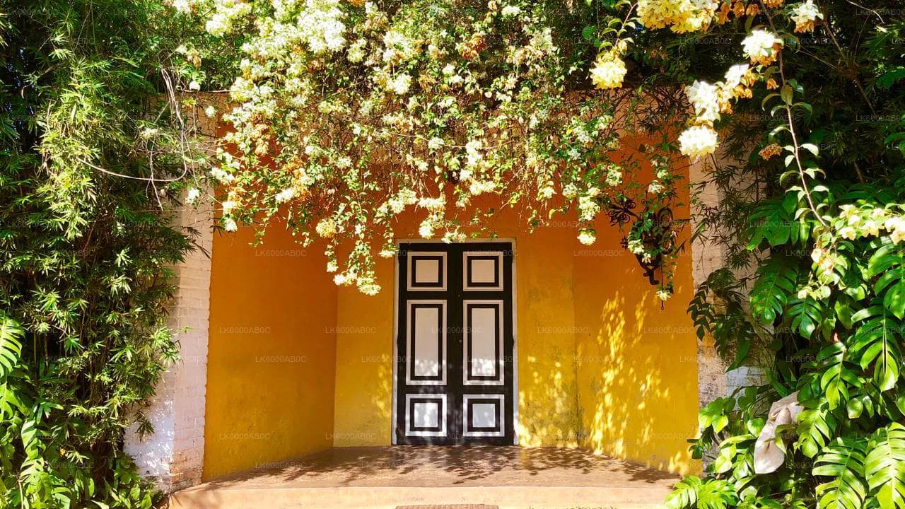 Brief Garden: A Tropical Architectural Masterpiece