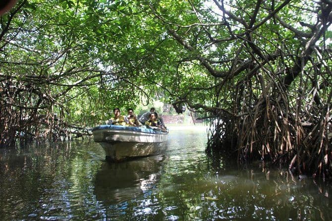 Bentota River Safari: Mangroves & Wildlife Encounter