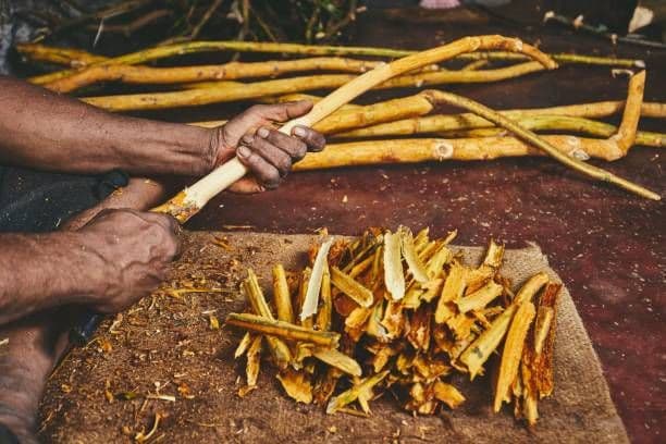 Article photo